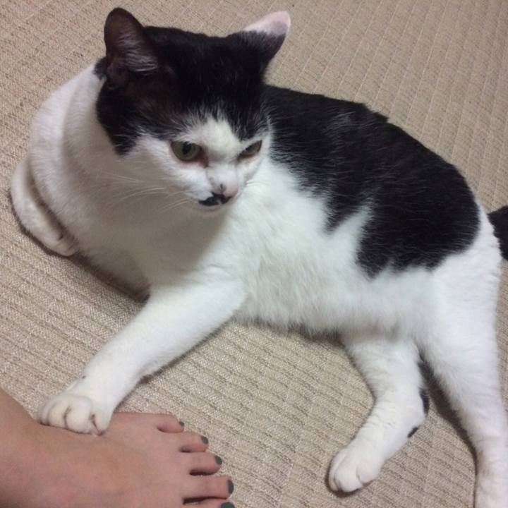 403e0983 a7ed 404f bf58 6bc2f8c19970