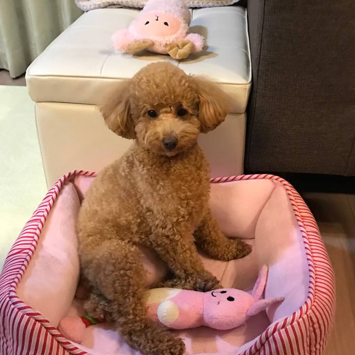 403e11f2 ad9f 44ef bd9b 97e8bd736c7b