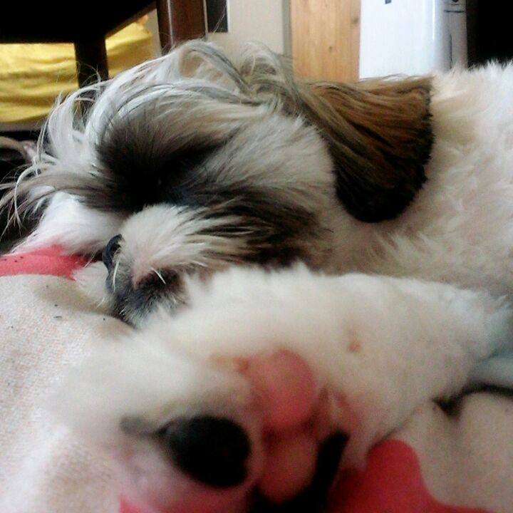 403ea3e6 0728 45f4 91c5 4610f2e616b0