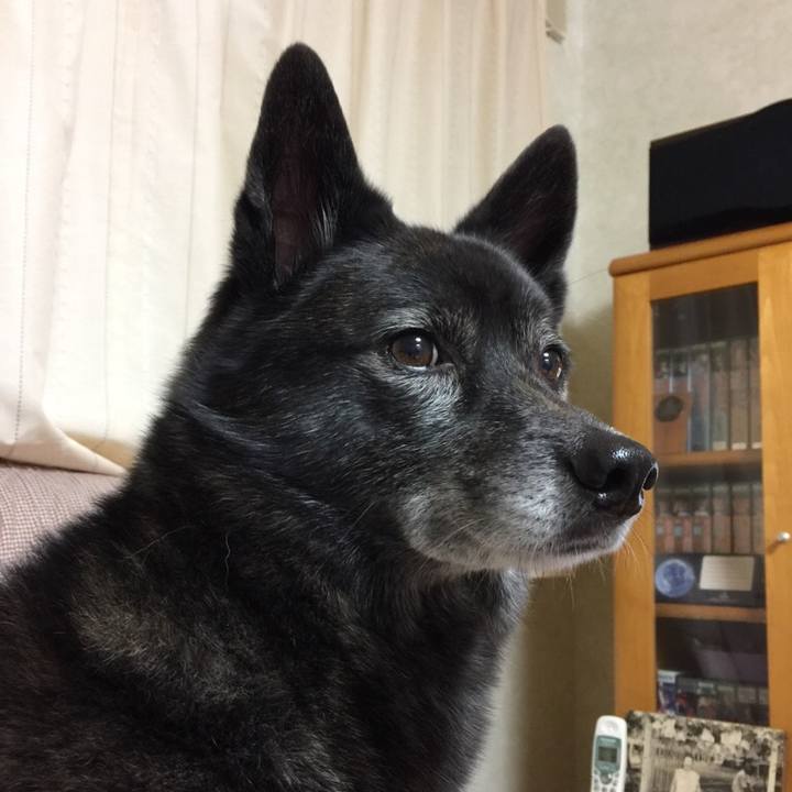 403ea6e3 bea5 485e 9086 756cc7387a71