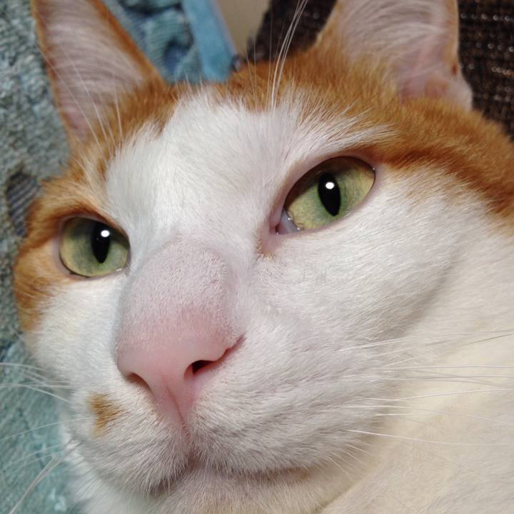 403ec618 c9a6 460e a3ab c3bd8971c967