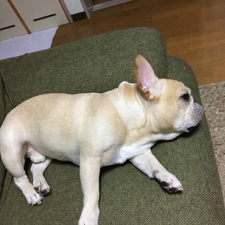 40403056 9d77 448d b98d 608187b64515