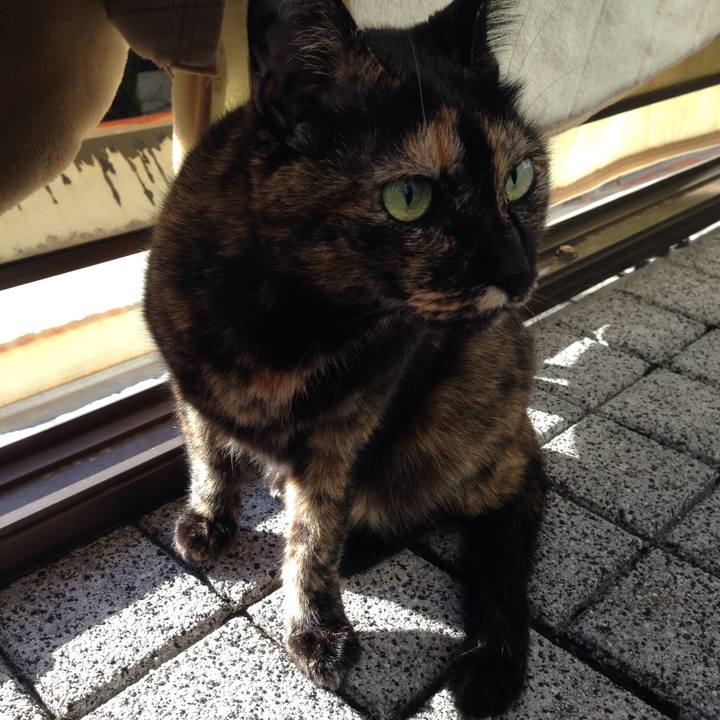 404039c9 640f 4b01 bca5 799c54e3cfd0