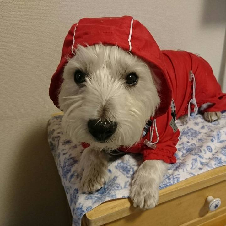 40406824 0ee2 46b6 928e 98cd1fdacbaa