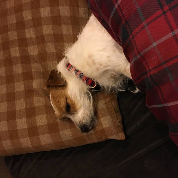 4040846a 5132 4dd3 9699 c805001dffad