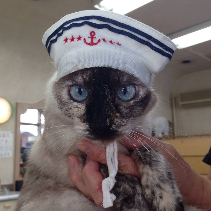 4040cc5e 6d58 488d 80bf 2f7f4d8cf651