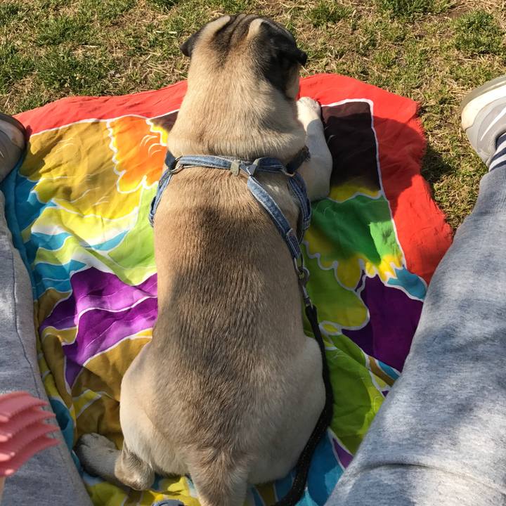 40410e59 de1a 4889 8b07 23860fafaf60