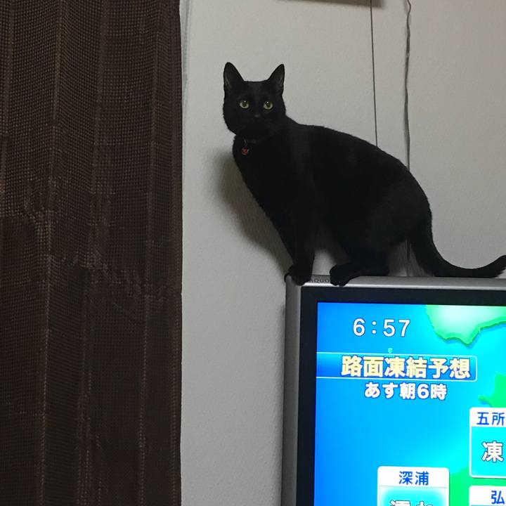 4041308a d185 4890 9c28 3f0c22cc4b29