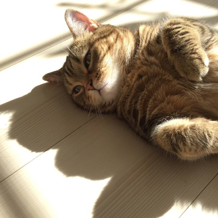 4041a248 e2b3 48f0 bf06 a8d984eef6b5