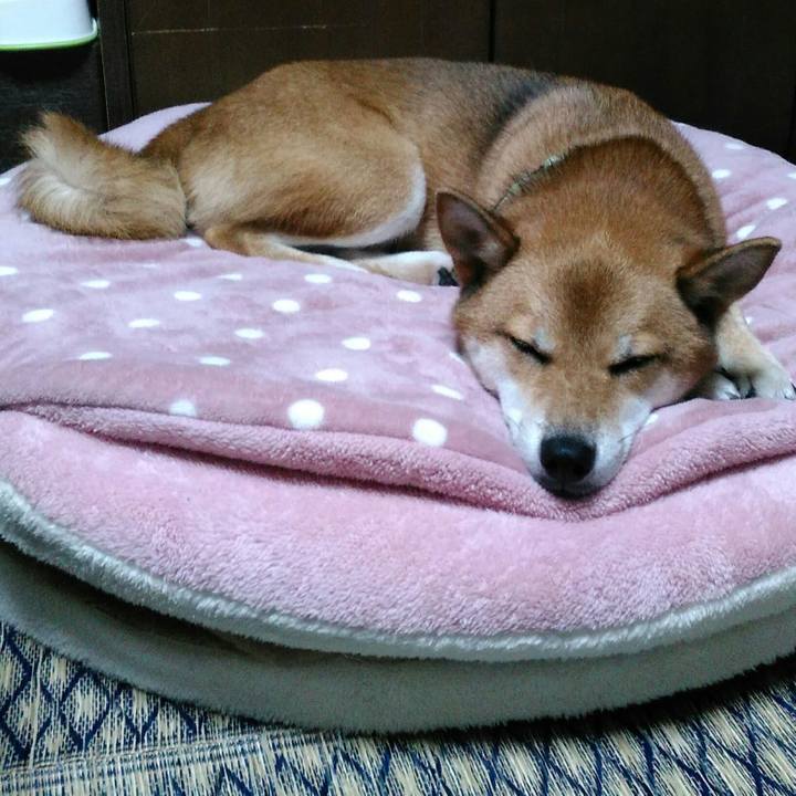 4041af83 9ac8 47bc bfd9 dc7bb9b4f128