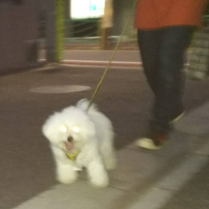 4041ccad 697f 4af9 9fd6 038f76fb07bc