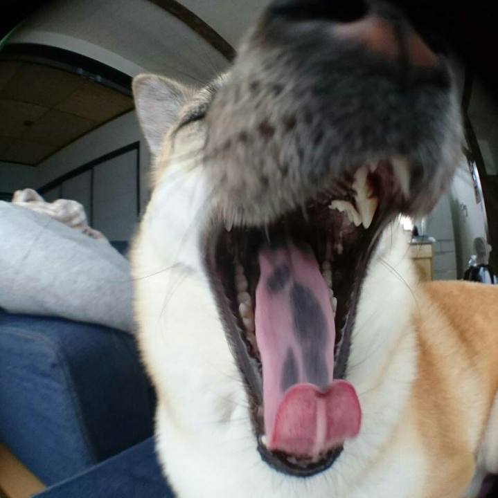 4042c6b8 2656 4a0b a7b8 0c885b1e0145