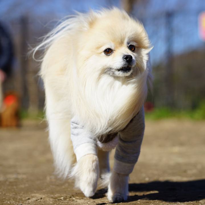 404339e7 213f 4f32 b3df 8fb46acaff43