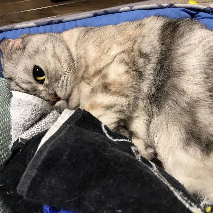 4043e197 d71d 42a4 ba5e b3f3c36c127c