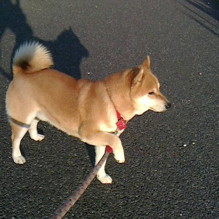 4043fa0e 992e 4a03 b196 78859463962d