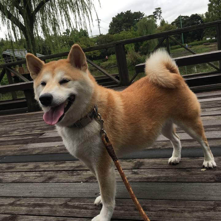 40442992 4aa7 4e4d 8f81 117617e7d140