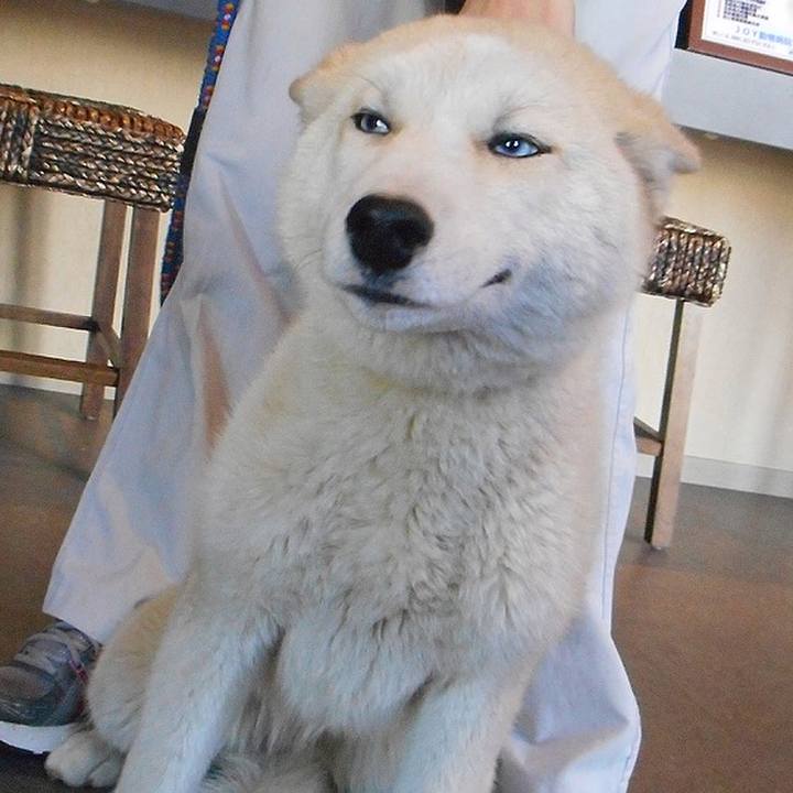 404464c8 4e1d 4b17 9983 2b1e8691be4f