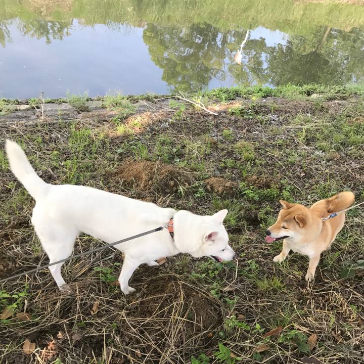 4044cebf f2dd 47c1 aefc c83a51b446eb