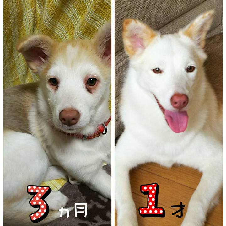 404500a9 e832 4cef 8bdb f2c296b2b6a4