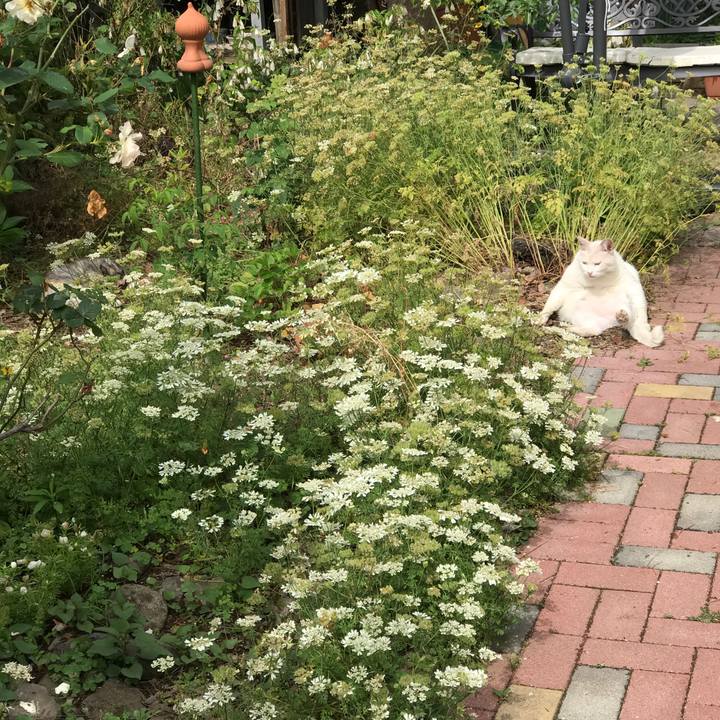 4045b7bd 2d37 4dc3 aa0a 8e88a4058adc