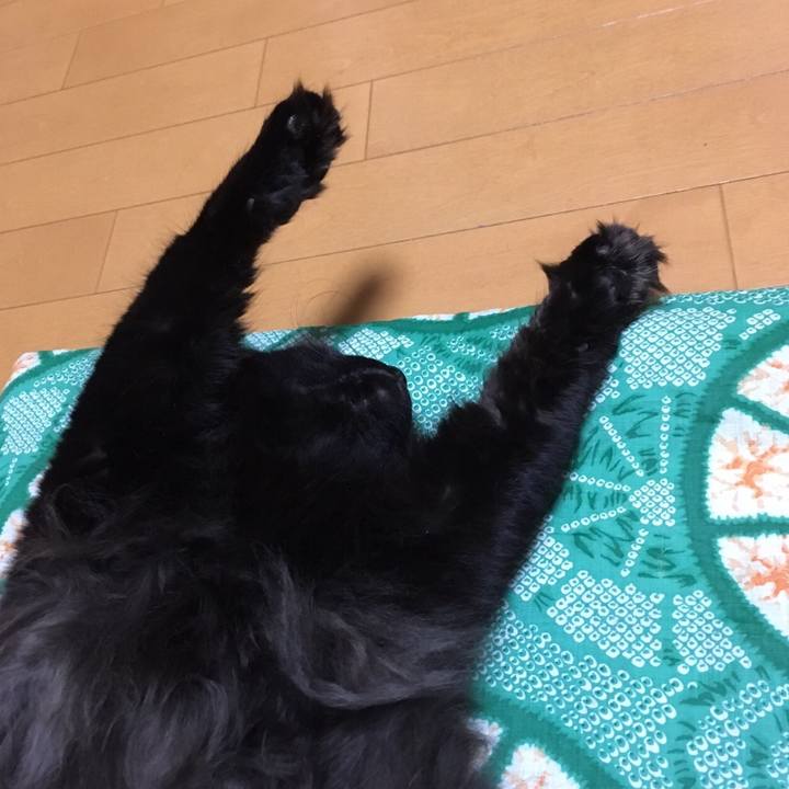 4045c187 35a9 4636 ac4b 9f12d154c297