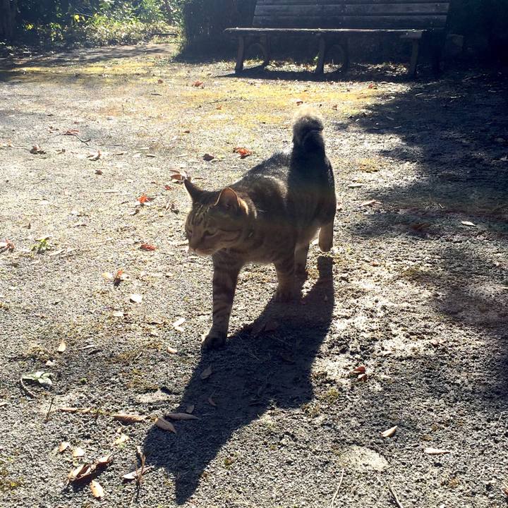 4046b815 ef05 4032 bbec fc101710b17f