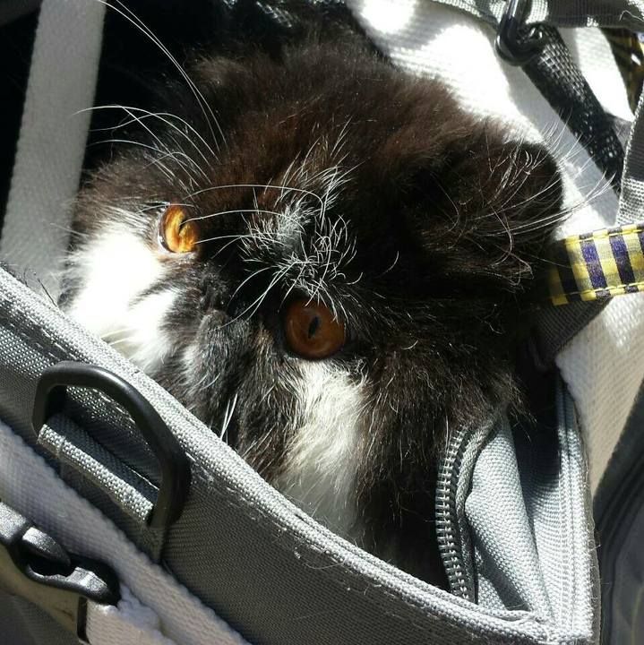 4046ee72 102a 4eb4 a898 ef281f5a9912