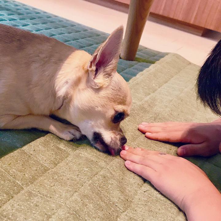 4046f38e d708 4257 86bd 23f45962977a