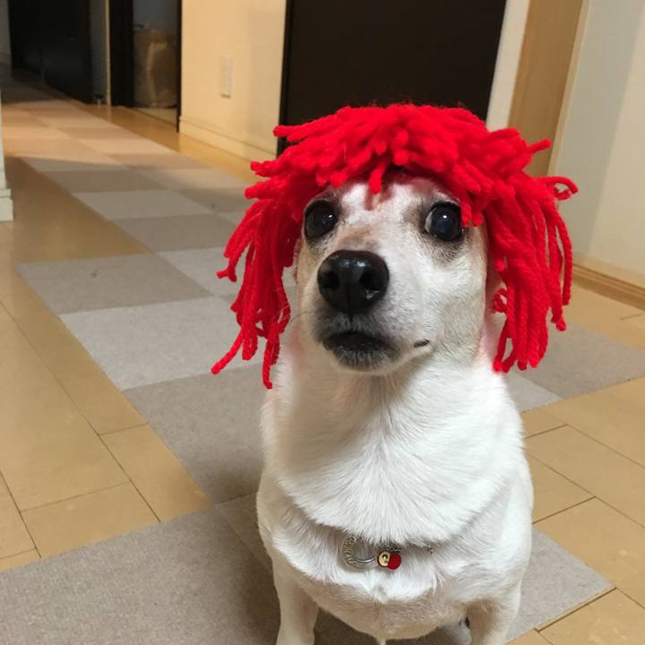 4047d88b 4744 428c 893b 1f88d8a842b0