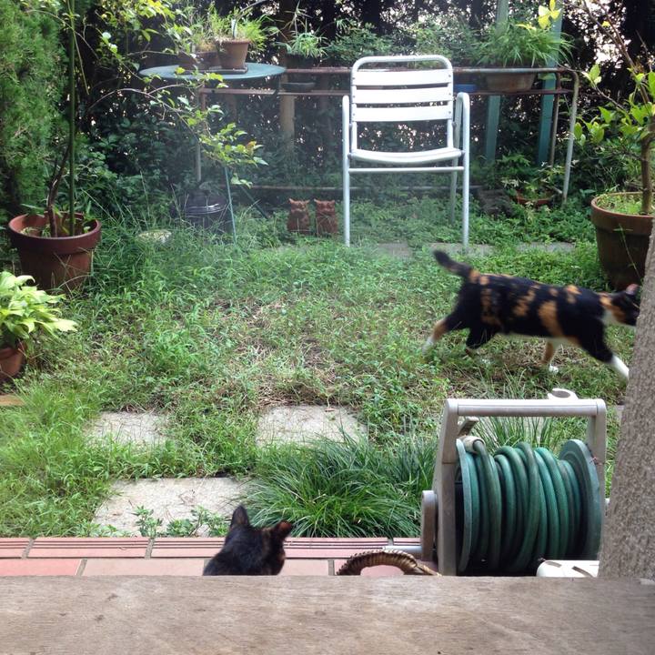 40483f51 ec32 4ec1 8261 6f9fe9e5dec5