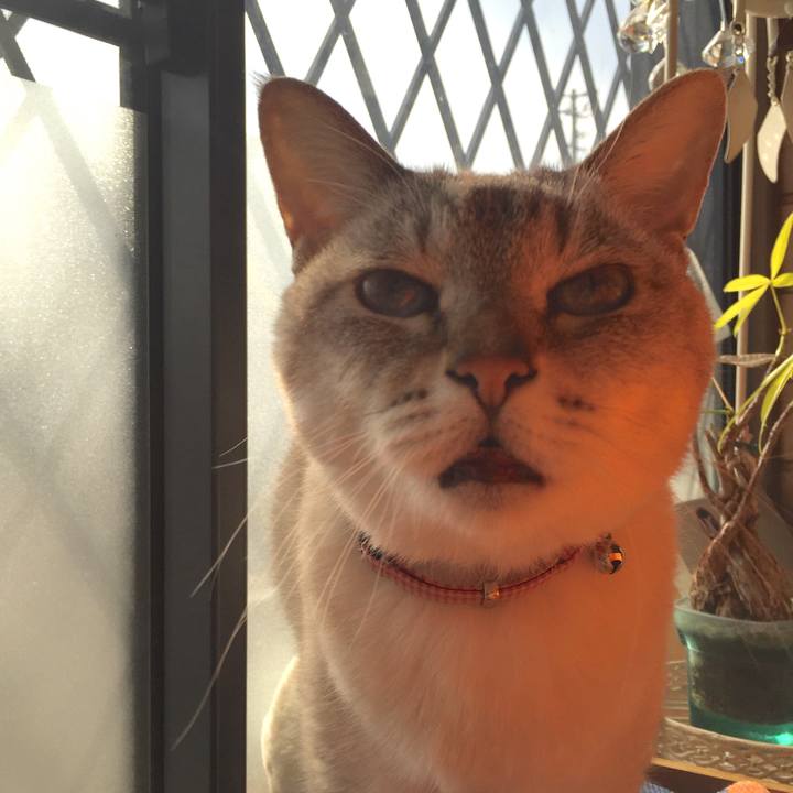 40487f86 3893 4439 8d1e 5acbf6383fe2