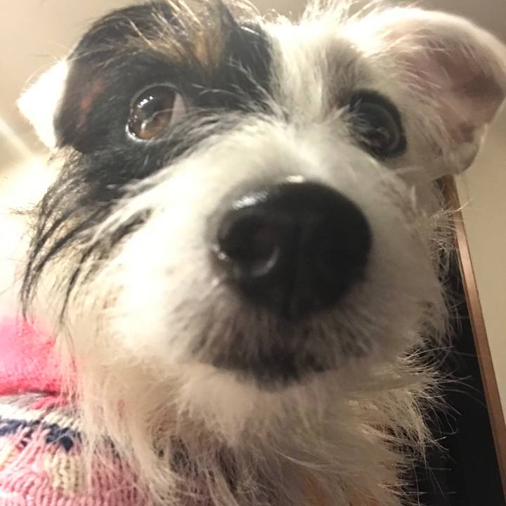 404881bb d4dd 46c4 80ac db32118fbe84