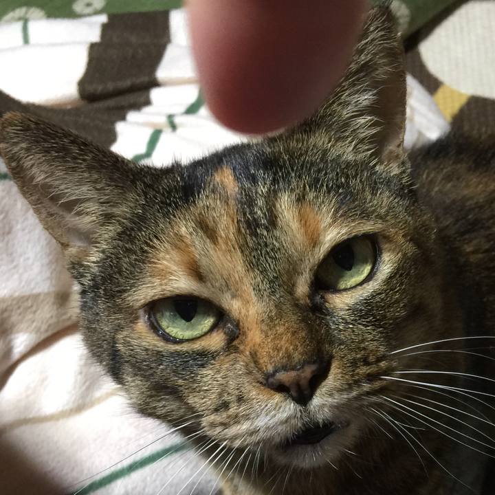 4048a89a 6b42 4ba1 8d7e 96abf59fcbf8