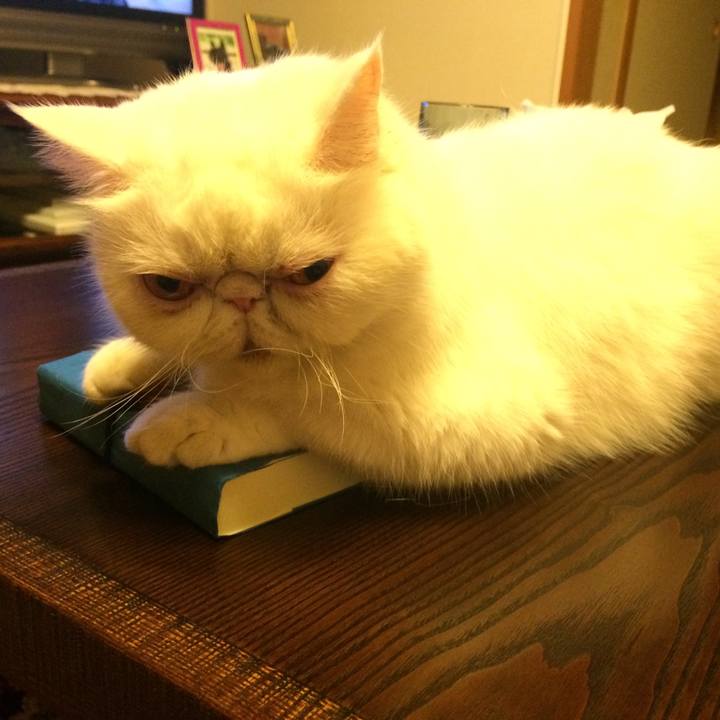 4048b7dd 691d 4f5e a049 f5db292491f2