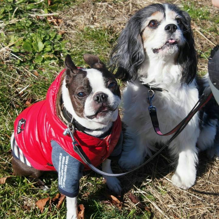 4048d808 8ac9 4bee b257 864144bc6612