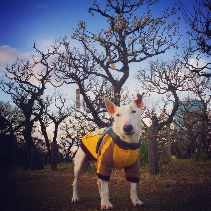 40492317 2eec 4202 94c2 333a79427159