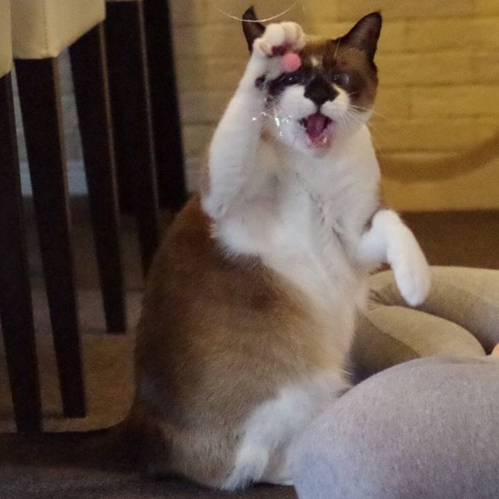 40492a2a 185c 4a18 bb2c 8f373d4c3269