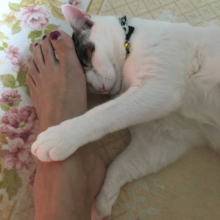 40497463 a3fe 402c a3a3 d234777e8e19