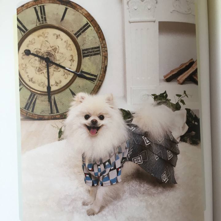 40497609 3daf 4736 9443 7ecb3c9763cf