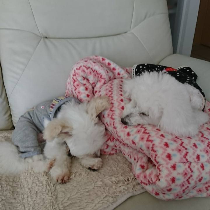 404979ec 18f2 47dd 9b1b d2cb2704281c