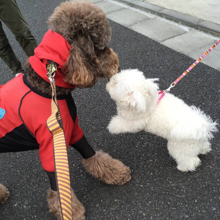 404996da fcad 4a09 9cd2 c45fdb975060