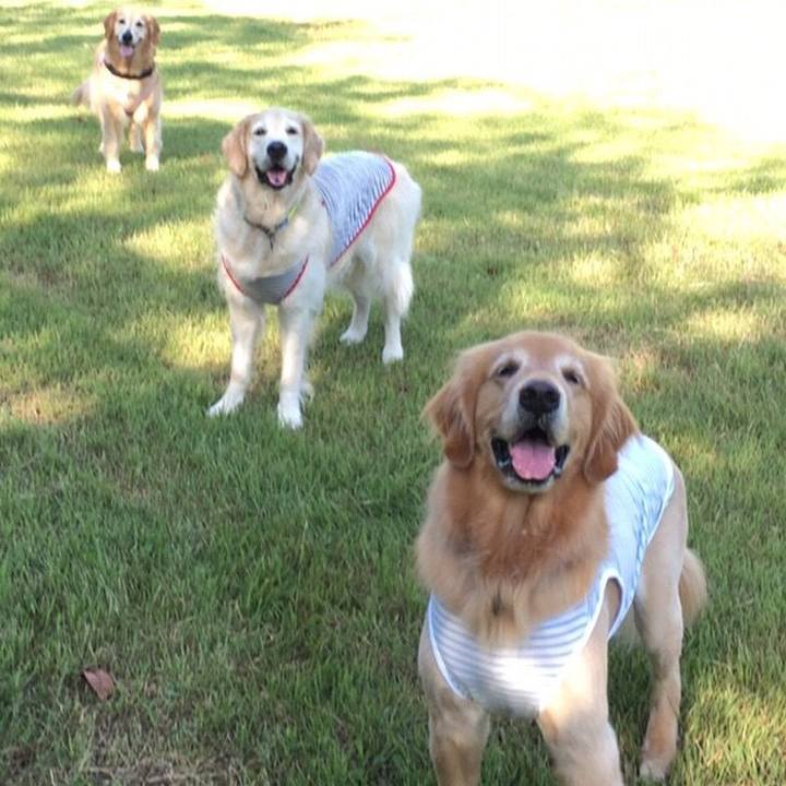 4049e091 9f53 4ffd 882c 1409333950cf