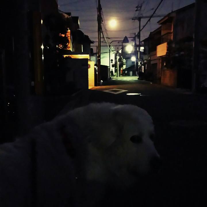 404a7047 abc9 4df4 9201 bd9e17eb2a47