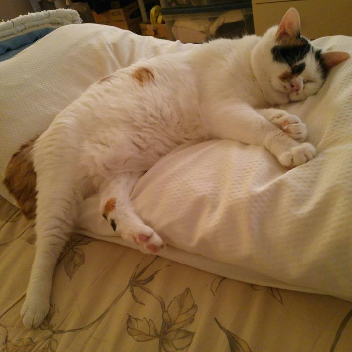 404a9b60 9a49 4035 8cc3 43fe7cbef42c