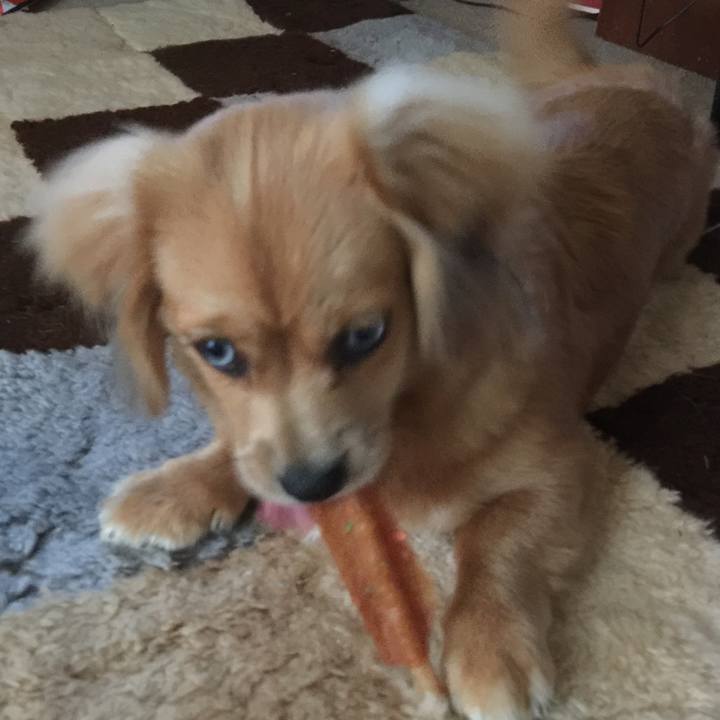 404aba4a 9802 4f32 aa05 b7b2fcc9e896