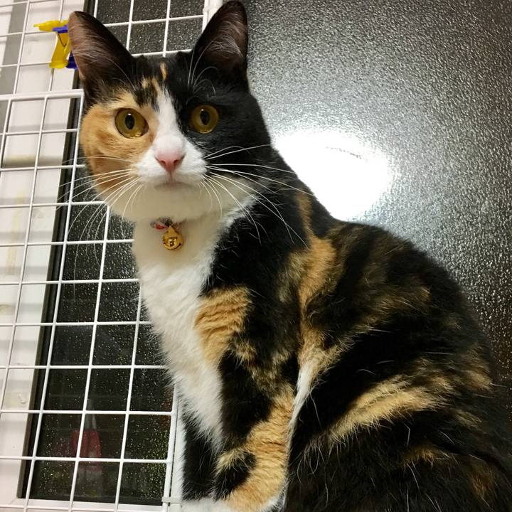 404acb55 a56d 40ea bd29 fe7274fead3c