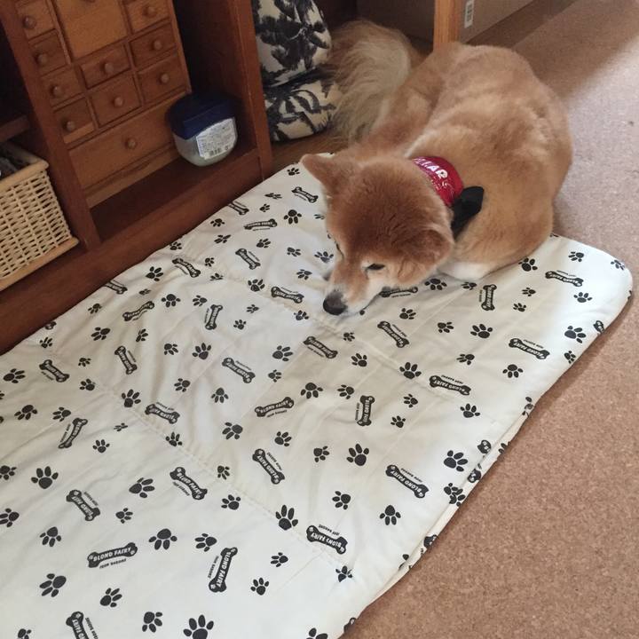 404bf175 6315 4289 a19a 7f124a0b6c84