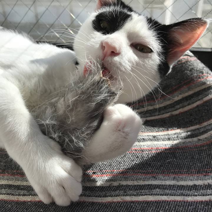 404c5b90 fa87 4b68 8d14 dff67687e7bc