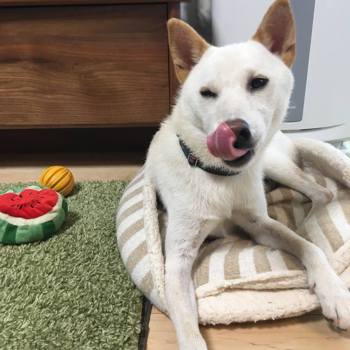 404c7b87 a8e9 4fa3 a404 c10739bcd0a2