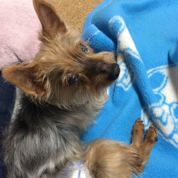 404dc831 2a9c 43c8 8baf d082d6812750